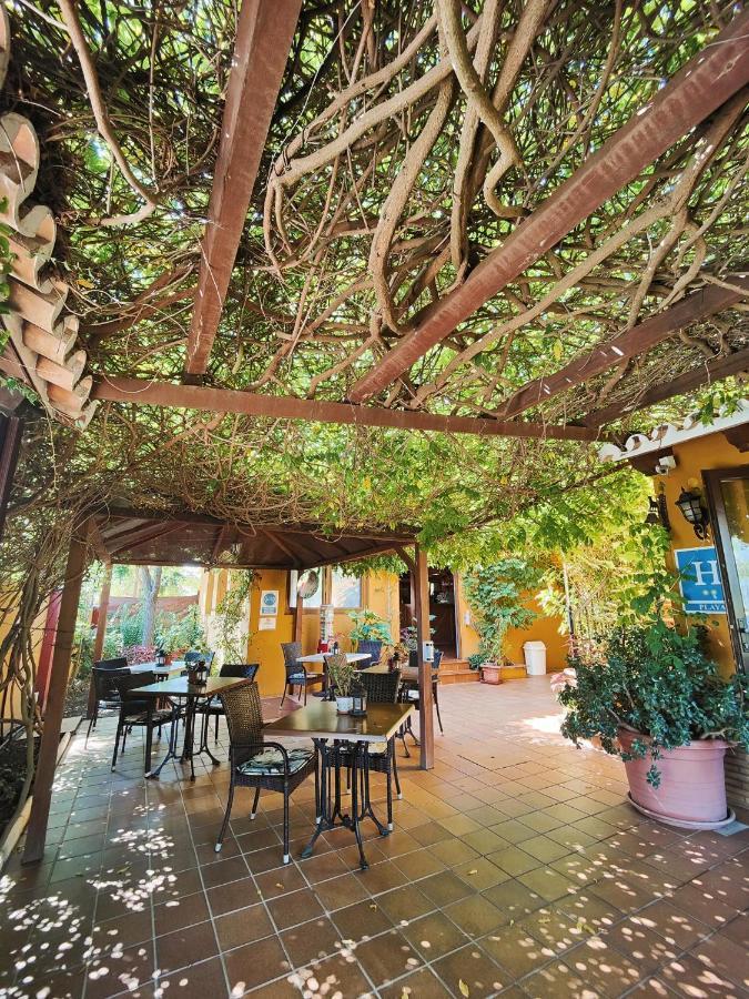 Hotel Donana Blues Matalascañas Buitenkant foto