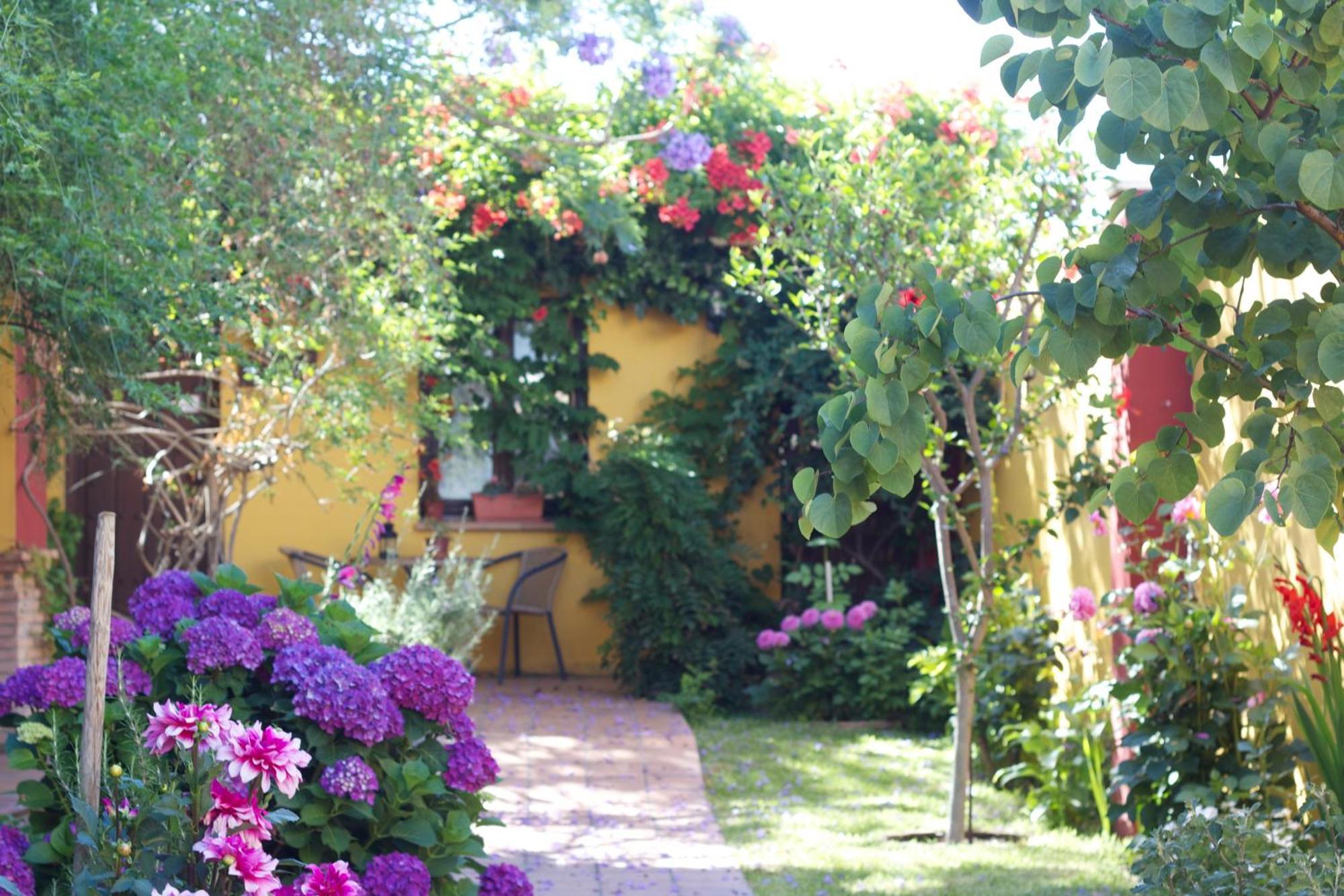 Hotel Donana Blues Matalascañas Buitenkant foto