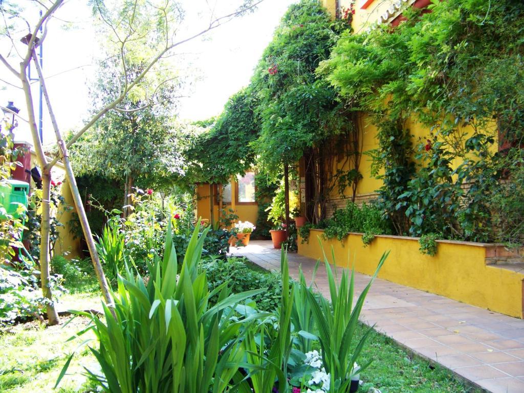 Hotel Donana Blues Matalascañas Buitenkant foto